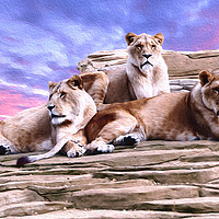 Buy canvas prints of Three Brothers  by jim scotland fine art