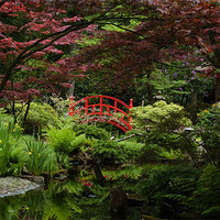 Buy canvas prints of Japanese garden by Chris  Breeze