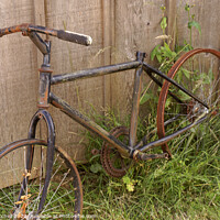 Buy canvas prints of Old Rusty Bike by John Mitchell