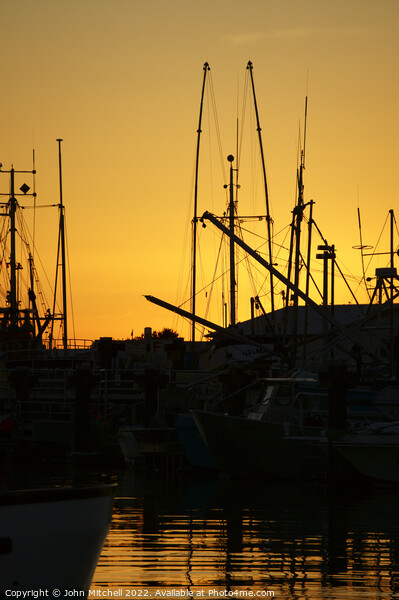 Fishing Boats at Sunset Picture Board by John Mitchell