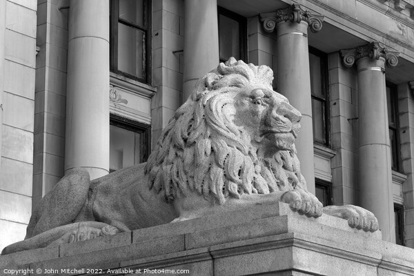 Lion Sculpture outside Vancouver Art Gallery Picture Board by John Mitchell