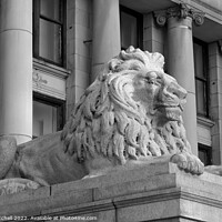 Buy canvas prints of Lion Sculpture outside Vancouver Art Gallery by John Mitchell