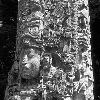 Buy canvas prints of Mayan Sculpture at Copan Honduras by John Mitchell