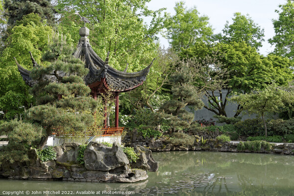 Pagoda and pond in Vancouver's Chinatown Picture Board by John Mitchell