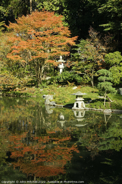 Japanese Garden in the Fall Picture Board by John Mitchell