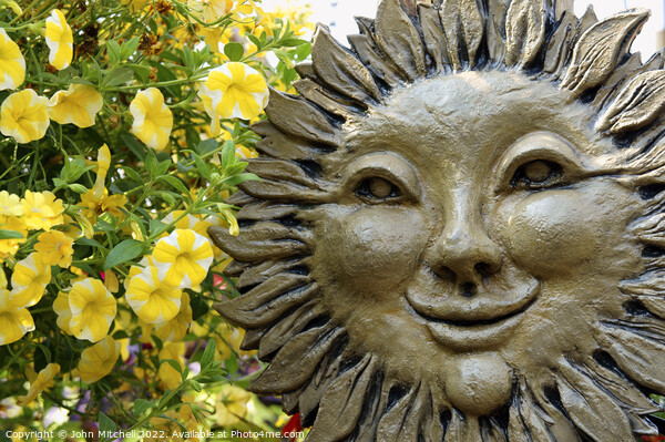 Smiling Sunflower Face Picture Board by John Mitchell