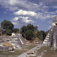 Buy canvas prints of Mayan Ruins of Tikal Guatemala by John Mitchell