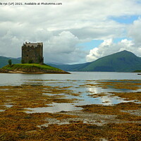 Buy canvas prints of castle stalker argyll and bute  by dale rys (LP)