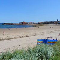 Buy canvas prints of north berwick   by dale rys (LP)