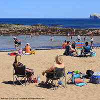 Buy canvas prints of NORTH BERWICK   by dale rys (LP)