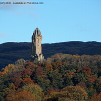 Buy canvas prints of WALLACE MONUMENT  by dale rys (LP)