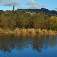 Buy canvas prints of wallace monument by dale rys (LP)