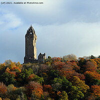 Buy canvas prints of wallace monument by dale rys (LP)