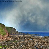 Buy canvas prints of stonehaven beach by dale rys (LP)
