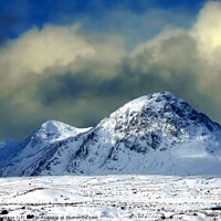 Buy canvas prints of Buachaille Etive Mor by dale rys (LP)