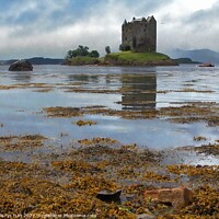 Buy canvas prints of castle stalker argyll and bute by dale rys (LP)