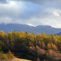 Buy canvas prints of tyndrum scotland by dale rys (LP)