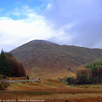 Buy canvas prints of tyndrum - bridge of orchy scotland by dale rys (LP)