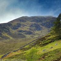 Buy canvas prints of WILD HIGHLANDS / 5 SISTERS -kintail-scotland     by dale rys (LP)