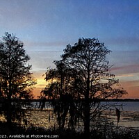 Buy canvas prints of CYPRESS TREES florida sunset by dale rys (LP)