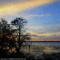 Buy canvas prints of florida sunset  by dale rys (LP)