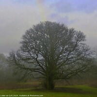Buy canvas prints of LONE MOODY TREE by dale rys (LP)