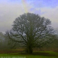 Buy canvas prints of LONE MOODY TREE  by dale rys (LP)