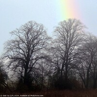 Buy canvas prints of rainbow in the woods by dale rys (LP)