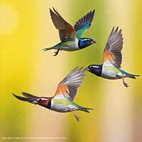 Click to show how this picture will look as a piece of wall art