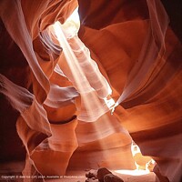 TRAVEL AMERICA NATURE ROCK LIGHT Vibrant Canyon