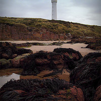 Buy canvas prints of COVESEA LIGHTHOUSE 2 by dale rys (LP)