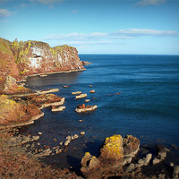 Buy canvas prints of st.abbs by dale rys (LP)