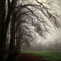 Buy canvas prints of moody day by dale rys (LP)