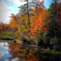 Buy canvas prints of colorfull maine by dale rys (LP)