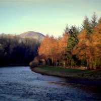 Buy canvas prints of scottish borders by dale rys (LP)