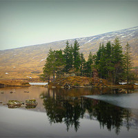 Buy canvas prints of highland reflection by dale rys (LP)