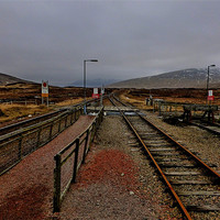 Buy canvas prints of the tracks of corrour by dale rys (LP)