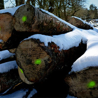 Buy canvas prints of the logs of winter by dale rys (LP)