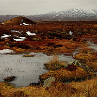 Buy canvas prints of scenic corrour by dale rys (LP)