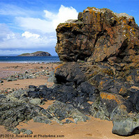 Buy canvas prints of north berwick by dale rys (LP)
