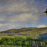 Buy canvas prints of wallace monument2 by dale rys (LP)