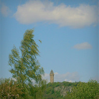 Buy canvas prints of wallace monument4 by dale rys (LP)