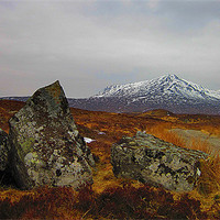 Buy canvas prints of scottish highlands by dale rys (LP)