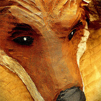Buy canvas prints of foxs break by dale rys (LP)