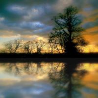 Buy canvas prints of moody reflection by dale rys (LP)