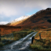 Buy canvas prints of highland color by dale rys (LP)