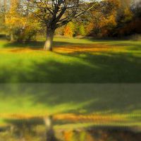 Buy canvas prints of lone tree fall by dale rys (LP)