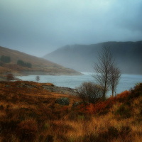 Buy canvas prints of highland color by dale rys (LP)