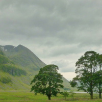 Buy canvas prints of 4 trees of glencoe by dale rys (LP)