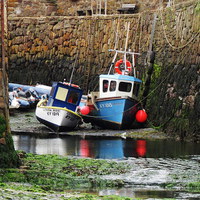 Buy canvas prints of  crail harbor by dale rys (LP)